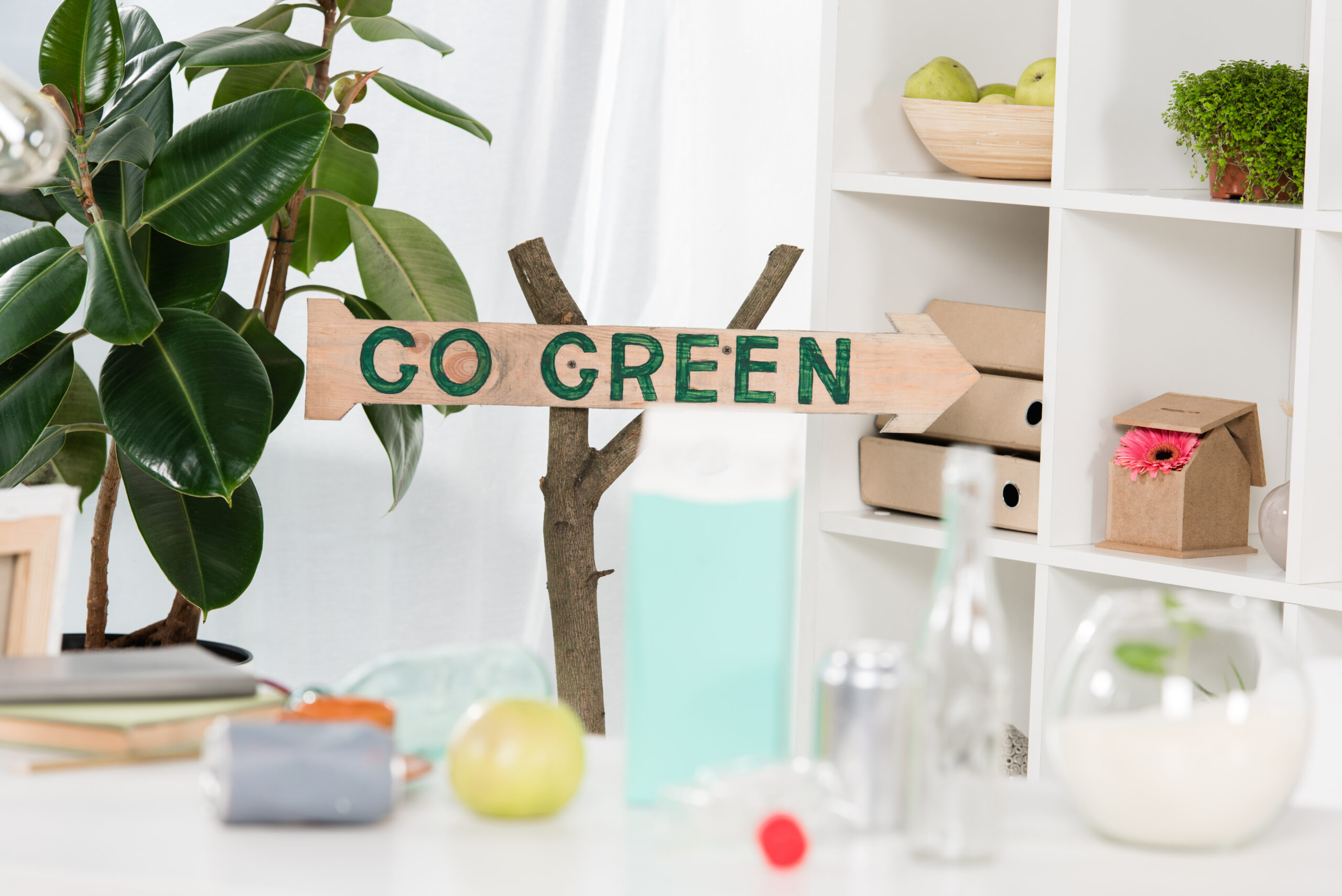 Decoratiuni ecologice DIY pentru casa