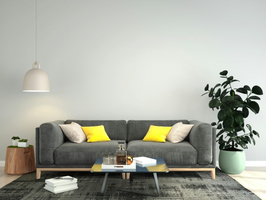 Living room decorated with chairs, sofa and small plant pots